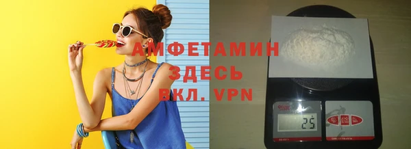 индика Абаза