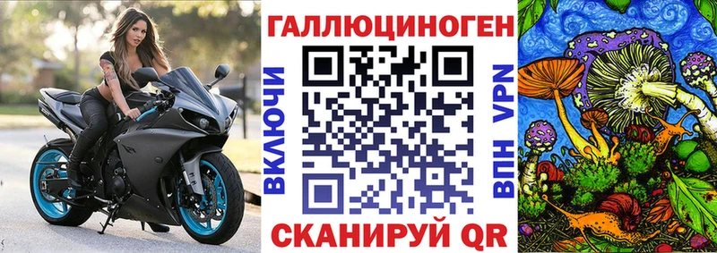 купить сайты Курлово даркнет телеграм Галлюциногенные грибы Cubensis